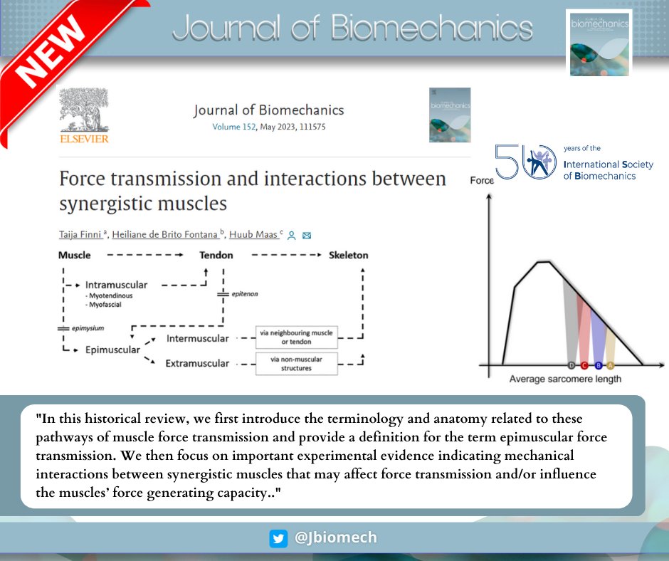 Journal of Biomechanics tweet media