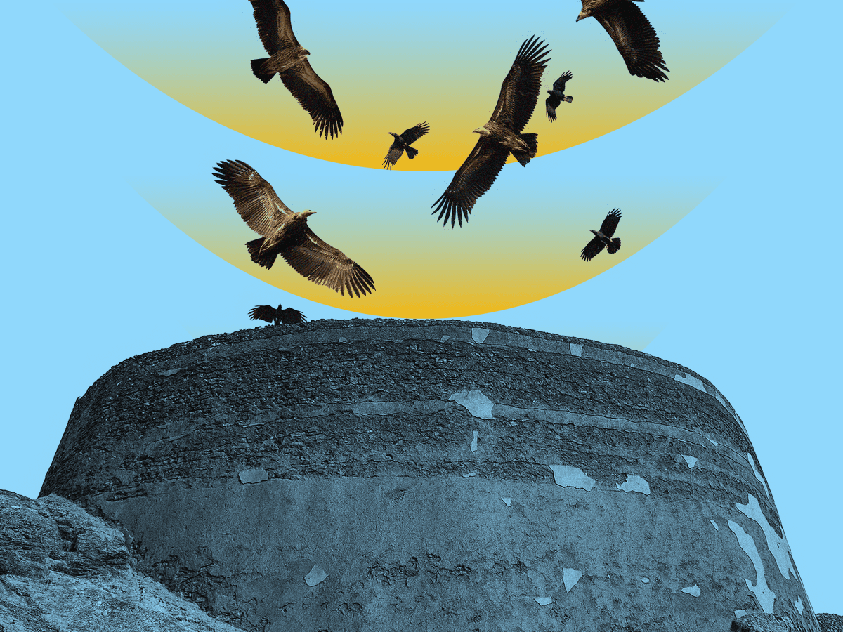 Meeratweets's tweet photo. Thoroghoughly enjoyed hearing @avirrr's @RadioLab report on the #Parsi #death ritual of sky burial, and what it means now that the #vultures of #India are virtually gone. Featuring @munirvirani. https://t.co/vUVWIQxo5q https://t.co/WVoYtInBI4