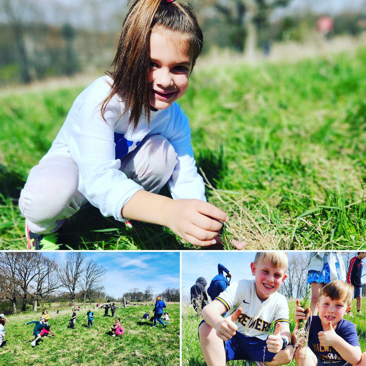 Planting trees on Timber Wolf Trail behind Woodside Elementary School has become an Arbor Day tradition.
