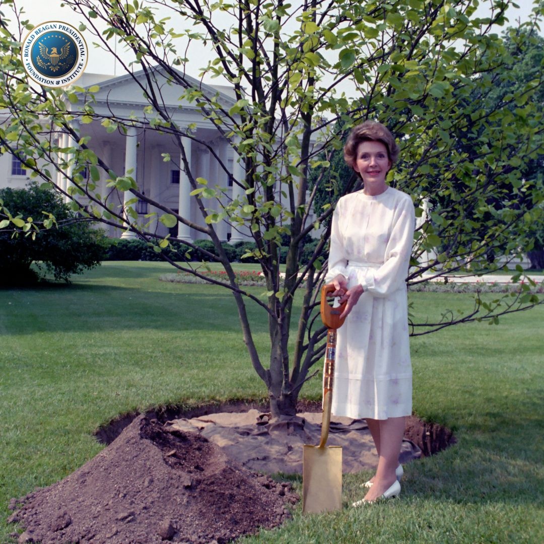 RonaldReagan's tweet image. Celebrate the beauty and importance of trees today and every day! #ArborDay #TreeLove #TreesforLife
