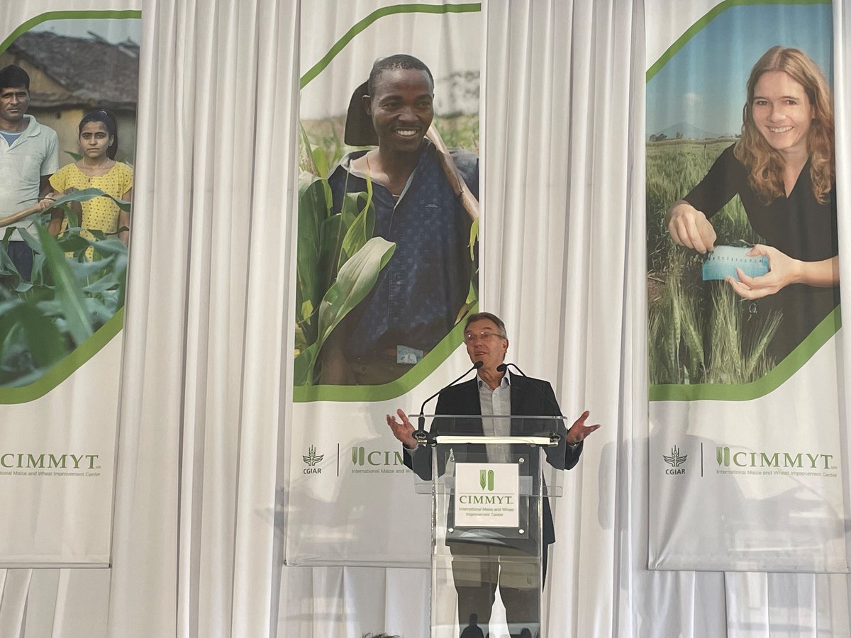 Alyssa Jade McDonald - Baertl tweet media