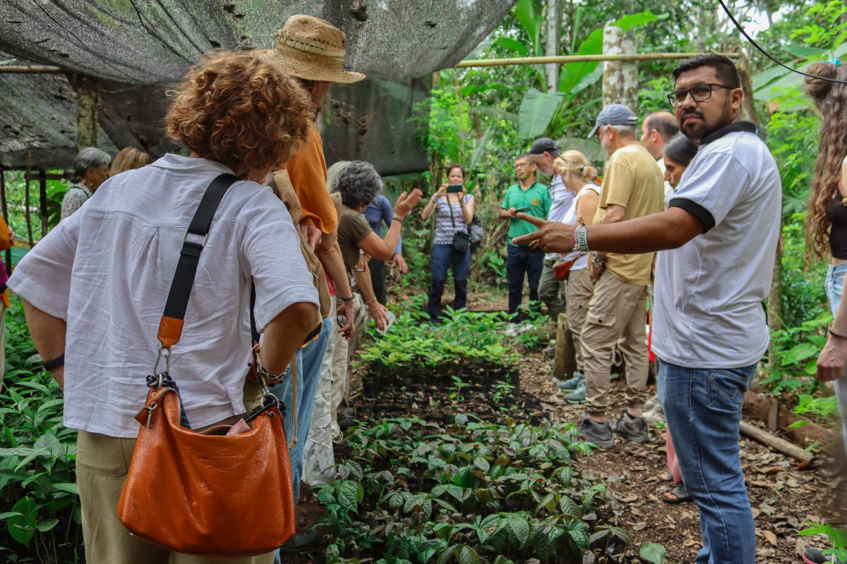 udapt_oficial's tweet photo. #AmazoníaEcuatoriana
📌 COOPERANTES EN LA AMAZONÍA
#Activistas ambientales de varias regiones de España, APY “Solidaridad en Acción”, llegaron a Sucumbíos, y visitaron las comunidades, los huertos orgánicos y sistemas de agua lluvia, en la provincia de Orellana y Sucumbíos #UDAPT https://t.co/jbRPVRSCjT