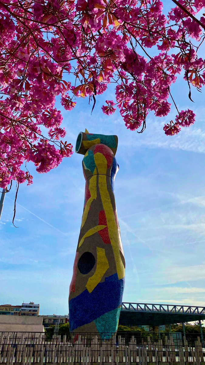 RPOQuinlog's tweet photo. #BlossomWatch #Barcelona #Miro https://t.co/Bam7iKXhuD
