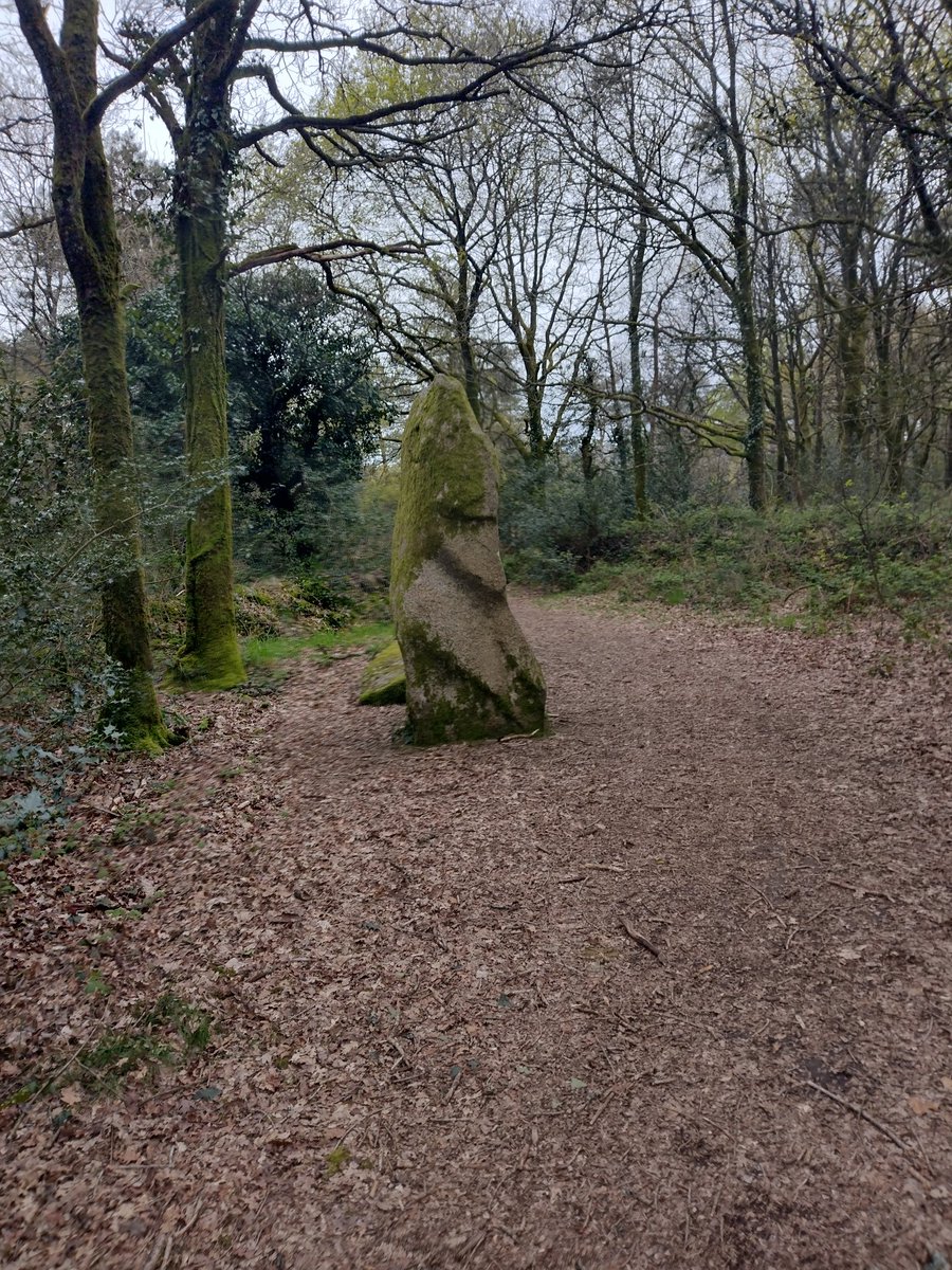 ThiChaplain's tweet photo. Ceux-ci sont beaucoup plus connus car ils sont sur le tracé du cheminPR des Gorges du Corong. #mégalithe #menhir #balade #landes #Locarn #néolithique #paysage https://t.co/yonNFtF8jw