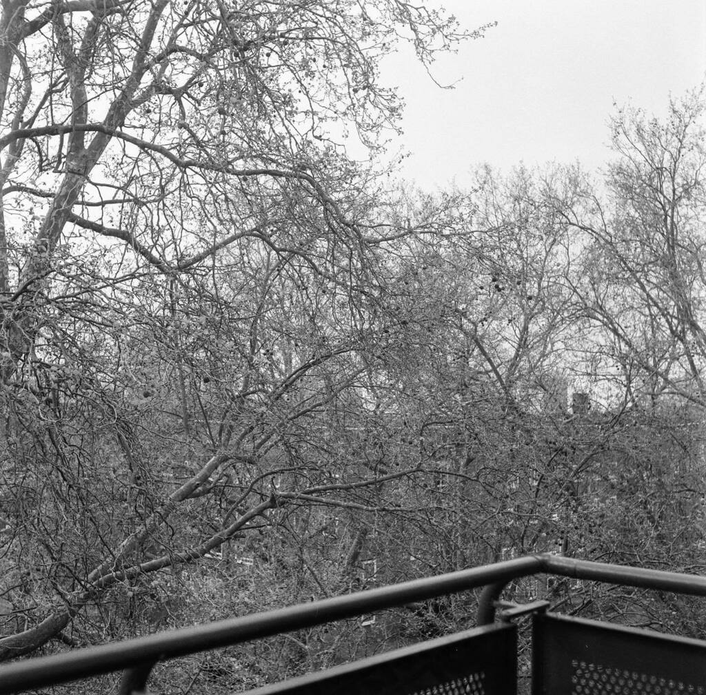 mltdmnt's tweet photo. Peckham, London.
April, 2023.

#filmphotography #filmphoto #slowphoto #autocord #minolta #minoltaautocord #tlr #120film #120filmphotography #bnwphotography #blackandwhitephotography #blackandwhite #monochrome #ilfordphoto #comethroughlab 
#peckham #birdi… https://t.co/MbHM2UGQuI https://t.co/N6zmzsrA4h