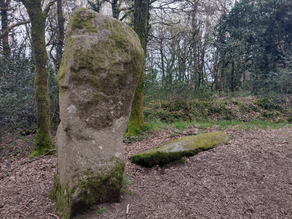 ThiChaplain's tweet photo. Ceux-ci sont beaucoup plus connus car ils sont sur le tracé du cheminPR des Gorges du Corong. #mégalithe #menhir #balade #landes #Locarn #néolithique #paysage https://t.co/yonNFtF8jw