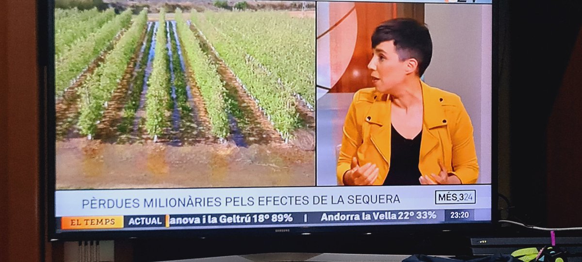 iservia's tweet photo. Obrir @324cat i veure el titular
Pèrdues miliinàries pels efectes de la sequera. 

Compartiré el meu post d'avui. 

Eleccions en temps de sequera. 

Poc més que afegir.

https://t.co/1OUJLBvgc4 https://t.co/TPDSrAu0Gi
