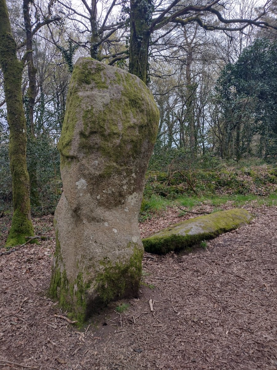 ThiChaplain's tweet photo. Ceux-ci sont beaucoup plus connus car ils sont sur le tracé du cheminPR des Gorges du Corong. #mégalithe #menhir #balade #landes #Locarn #néolithique #paysage https://t.co/yonNFtF8jw
