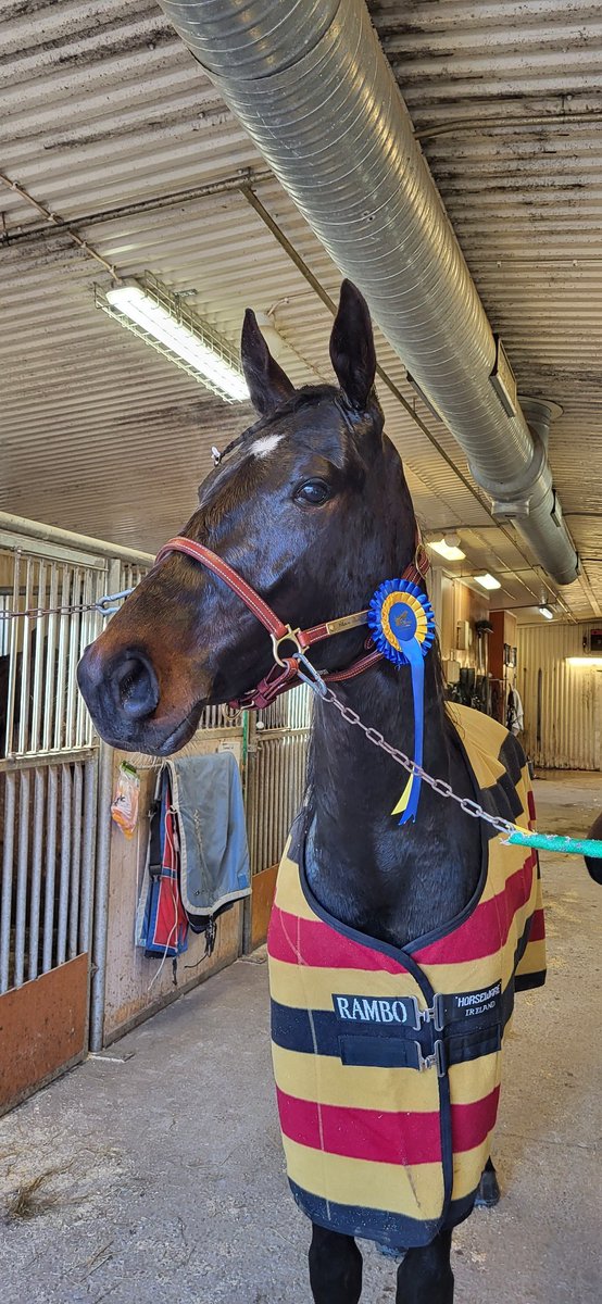 Chain Reaction ✨️🥇🏆❤️