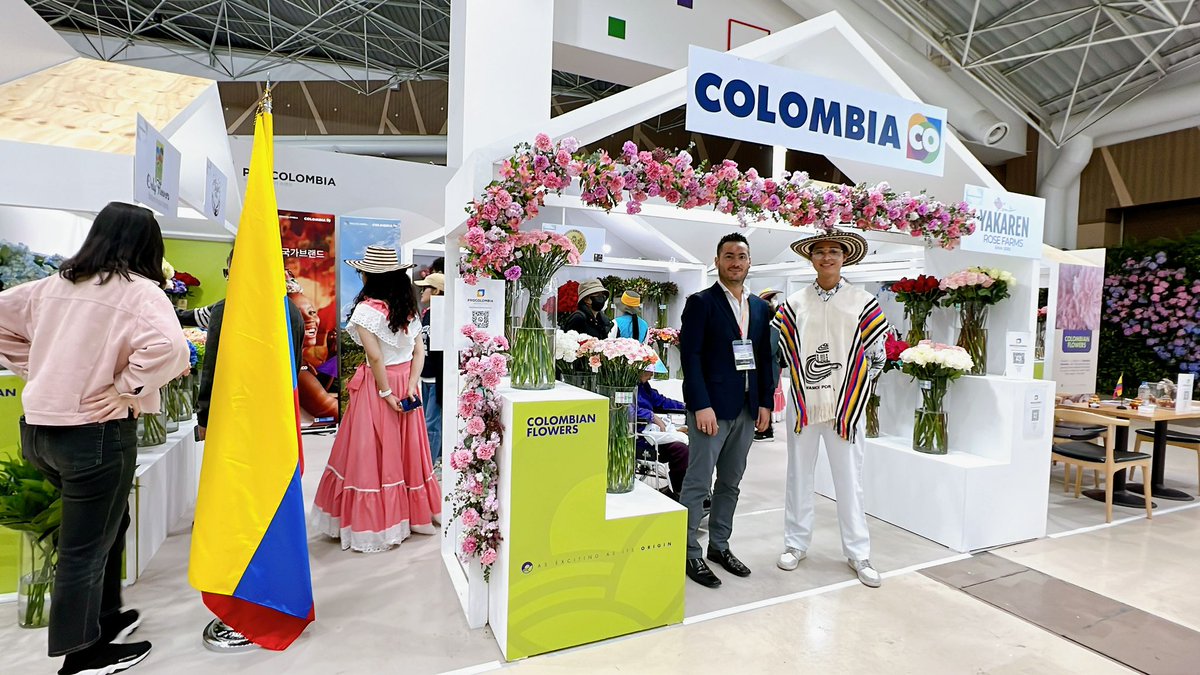 PROCOLOMBIACO's tweet photo. 📸 Así fue nuestro primer día en la Feria de Flores en Goyang, espacio en que empresarios del país presentan la oferta exportable de flores de #OrigenColombiano 🇨🇴 💐 a compradores surcoreanos 🇰🇷. https://t.co/XTfWDYvA8w
