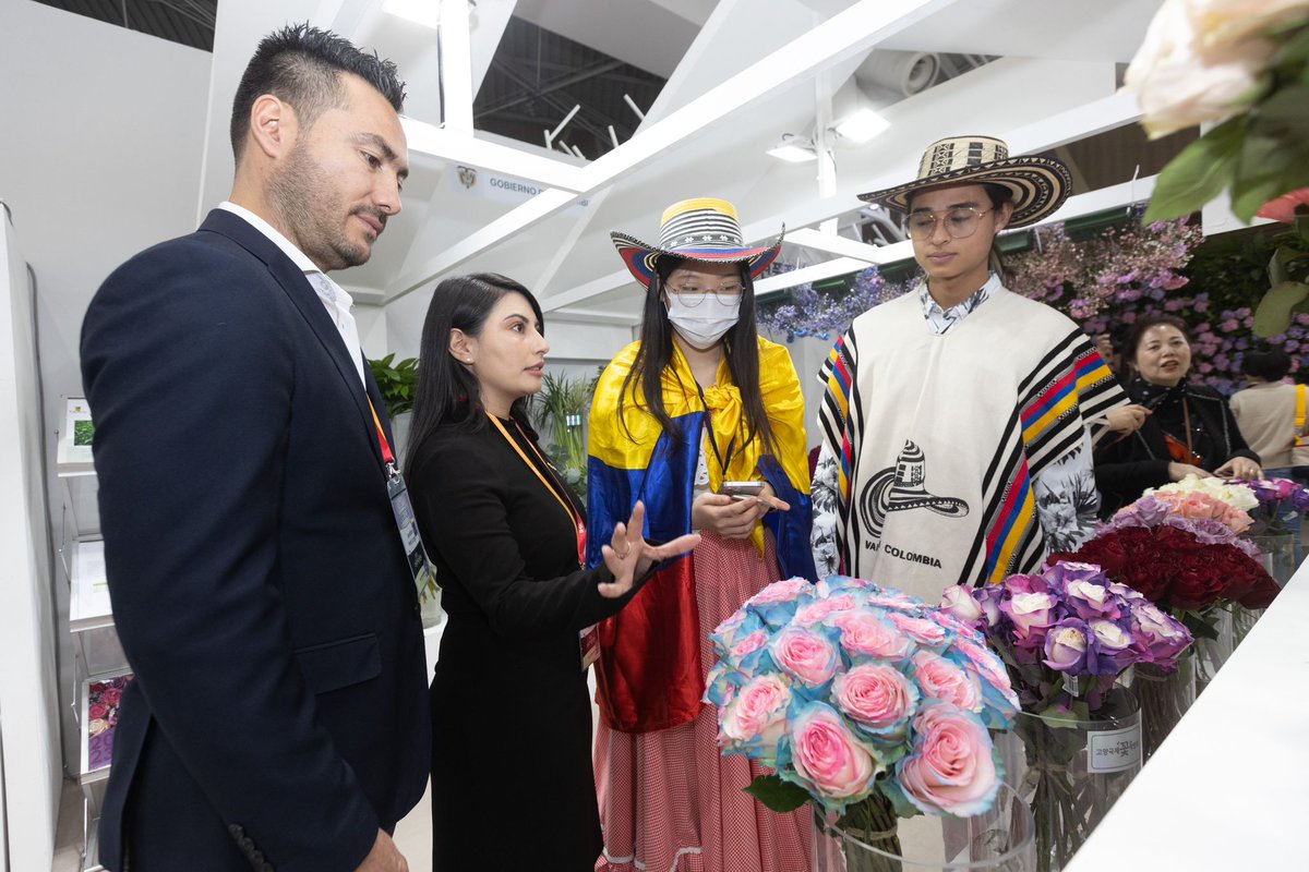 PROCOLOMBIACO's tweet photo. 📸 Así fue nuestro primer día en la Feria de Flores en Goyang, espacio en que empresarios del país presentan la oferta exportable de flores de #OrigenColombiano 🇨🇴 💐 a compradores surcoreanos 🇰🇷. https://t.co/XTfWDYvA8w