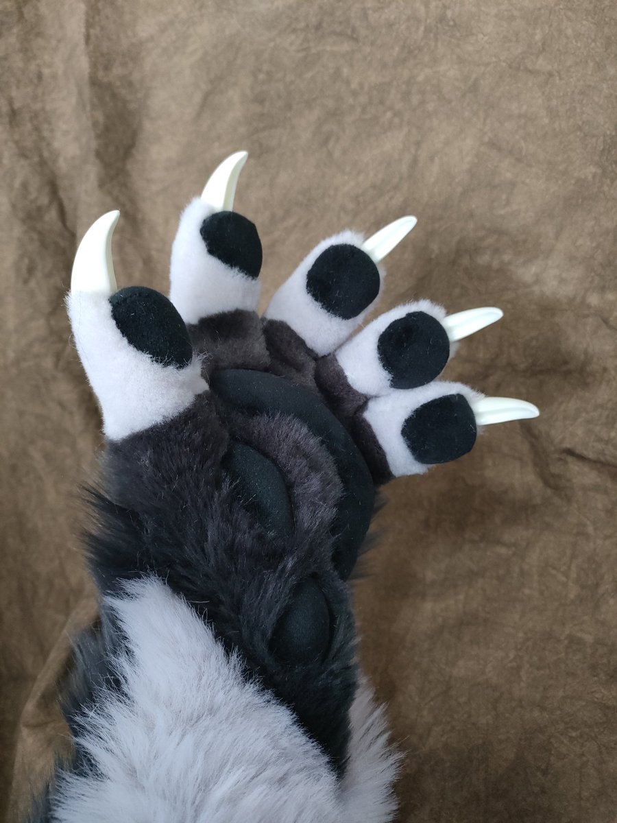 🐺TUFU-Studio🦖 tweet media