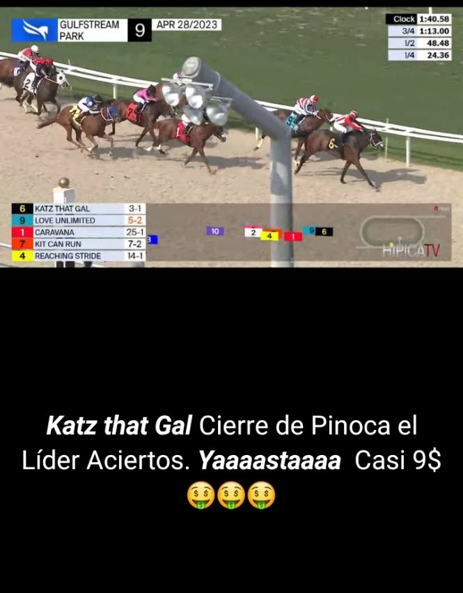 pinocahipico's tweet photo. Nuevamente salimos positivos en otra Jornada de Carreras Internacionales. Gracias a Dios con buenos Dividendos. Solo queda una carrera en el Meeting de #Keeneland donde ligaremos al 3 #TurfKing con Gafalione.
Ya se hizo el Trabajo. #YaaastaaaaVenezuela.
+58426 946 9183 https://t.co/lx7fQEgBXb