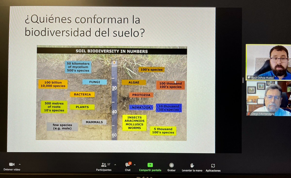 @cei_A3 @redinnovagro @IICAMexico @rochoahueso @MarthaEscalant6 @IICAnoticias @ASAJACADIZ @univcadiz @Pr_Collantes @pablodeolavide @IfapaJunta @AragonBodega La biodiversidad del suelo. Evento IICA Mexico, CeiA3 y Red Innovagro