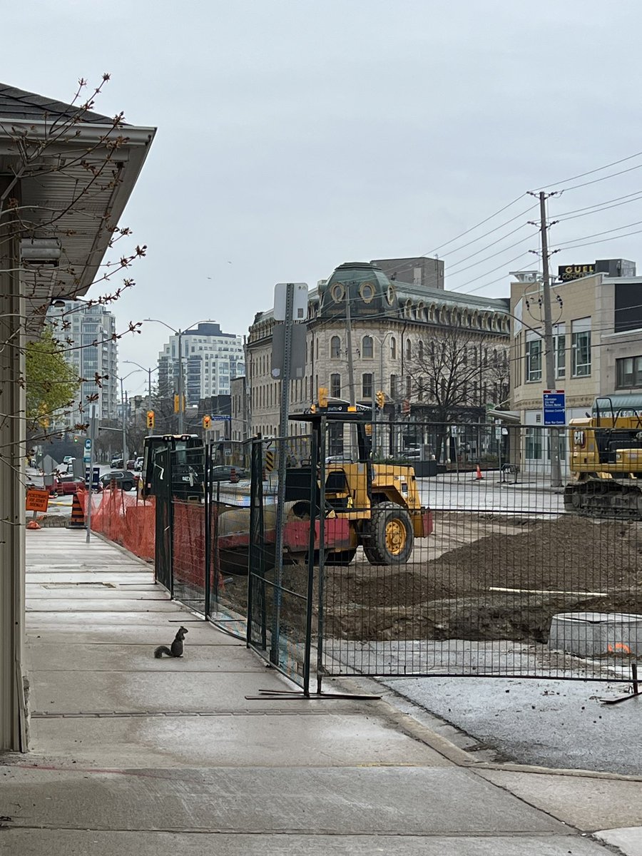 Not sure if he’s happy with the progress! 

#guelph 
#downtownguelph
@CamGuthrie @GuelphBugle