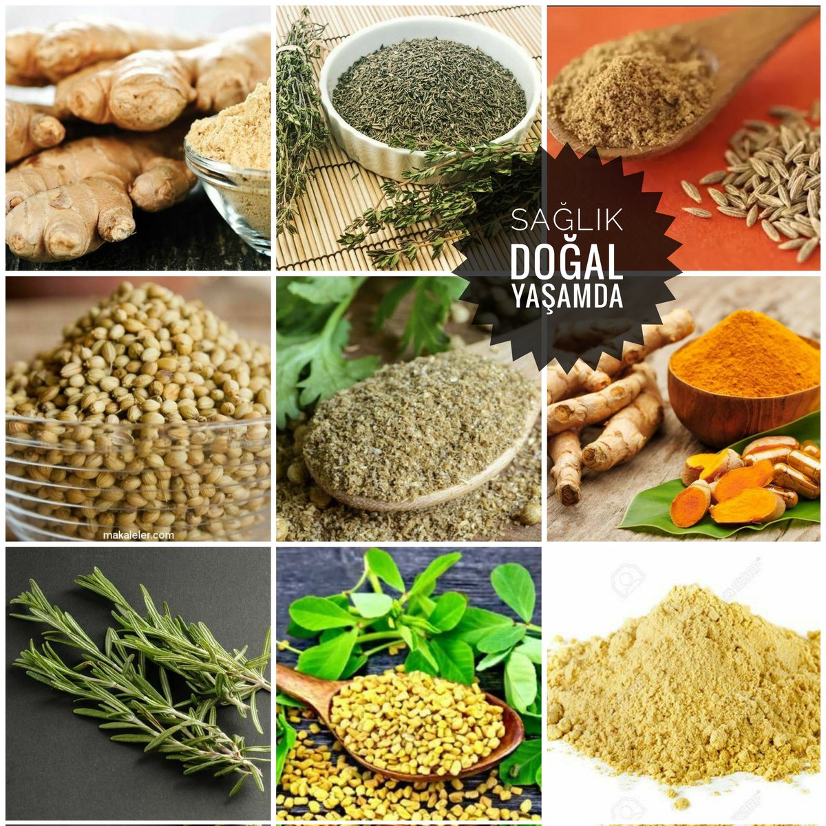 EnDogalYasam's tweet photo. Her hastalığın temelinde sindirim bozukluğu yatar

Dönüşümlü olarak;
✅ Zencefil,Kekik,Kimyon,Kişniş, Mercanköşk,Hardal,Zerdeçal, Kakule,Çemen,Biberiye 
kullanmak gerekr

Sindirimi rahatlatır
Mide/bağırsakları güçlendirir
Mikroflorayı canlandırır
Enfeksiyona ve gastrite son verir https://t.co/RhYFQn6pkC