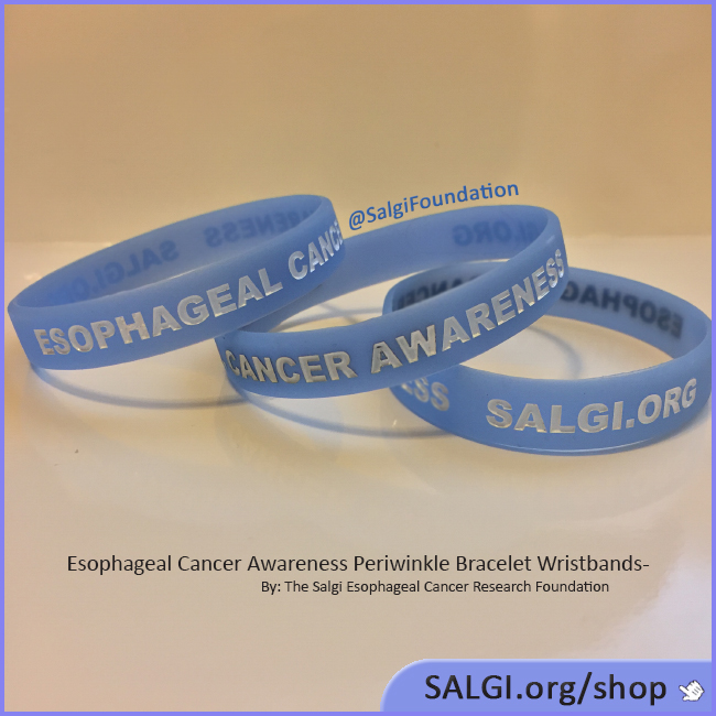 SHOP PERIWINKLE! Our Esophageal Cancer Periwinkle Wristbands and Agita (Heartburn) Ornaments to raise awareness & funding for esophageal cancer advocacy and research!  salgi.org/shop 

#EsophagealCancer #EsophagealCancerAwareness #AllPeriwinkleEverything™ #cancer