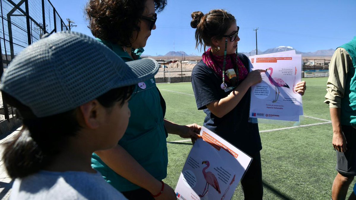 Fundación MERI tweet media