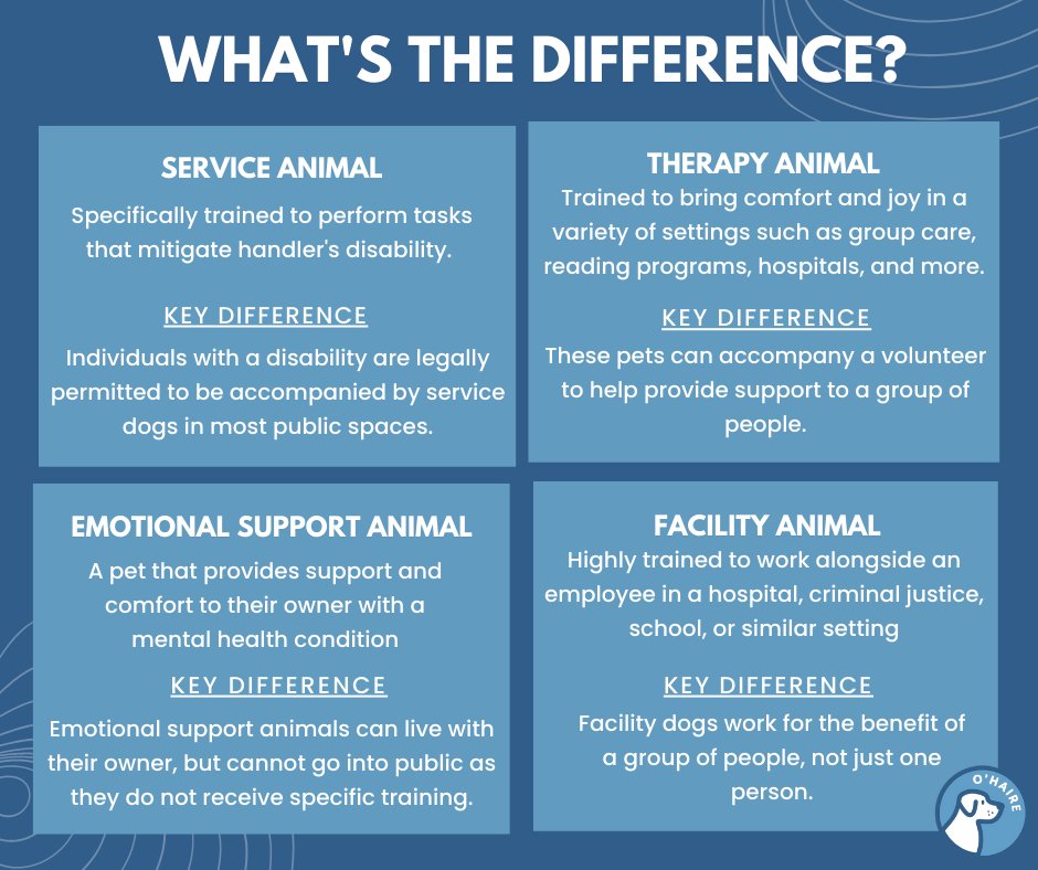 The OHAIRE Lab's research has looked into the benefits of both service dogs and therapy animals, but what's the difference? Check out the differences between a service animal, emotional support animal, and a therapy animal below!
#servicedog #research