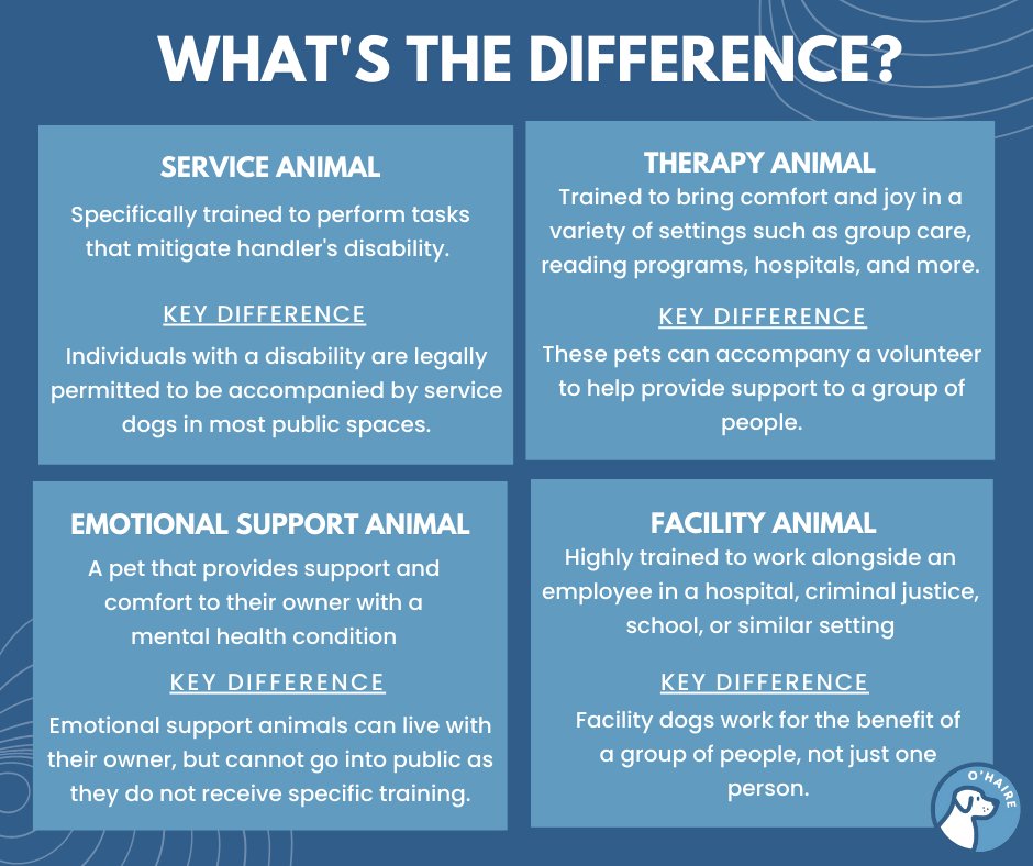 The OHAIRE Lab's research has looked into the benefits of both service dogs and therapy animals, but what's the difference? Check out the differences between a service animal, emotional support animal, and a therapy animal below! #servicedog #research