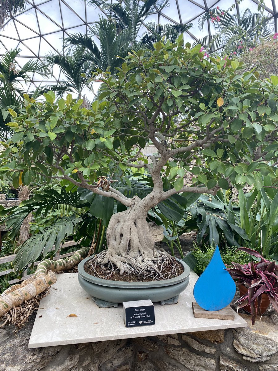 A truly incredible experience at Plant World this afternoon! One of Des Moines greatest sites!