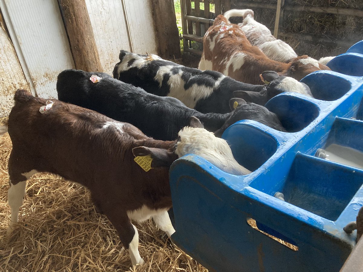 David Bingham tweet media