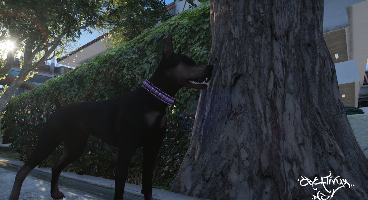 noviacadaver88's tweet photo. Este perrillo me ha costao la vida la verdad... espero que en el gta6 den más facilidades para crear.
Pronto tendré noticias similares a este animalillo :3
#sollumz #GTA5 #gta5rp #Blender3d https://t.co/8pX4k2vQDb