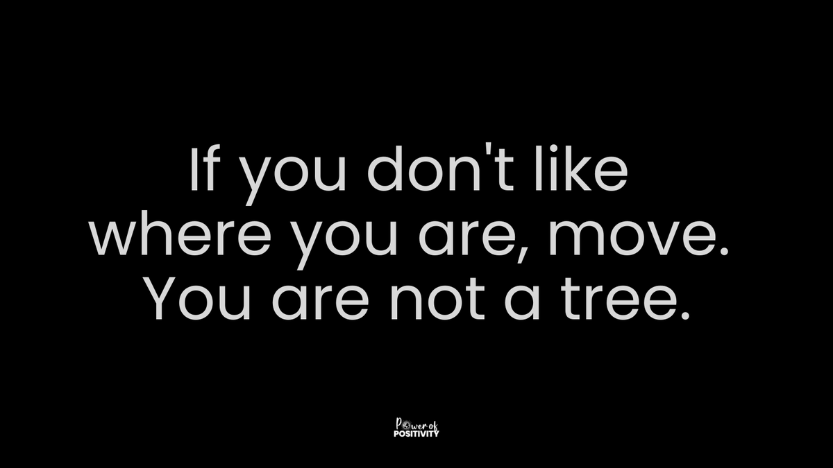 LIVEpositivity's tweet photo. If you don't like where you are, move. You are not a tree. https://t.co/CYpXtgEyox