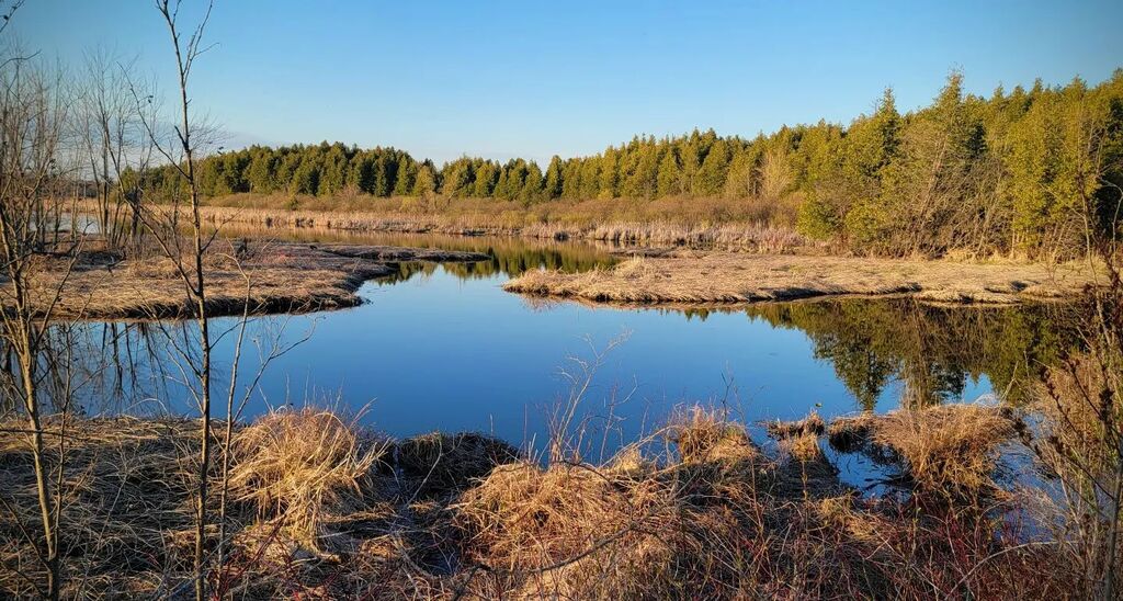 Spring is slowly springing...

#spring #Peterborough #ptbo #ptbocanada #kawarthanow #lillylake #jacksoncreek #transcanadatrail #reflection #water instagr.am/p/CrmDN2yv0al/