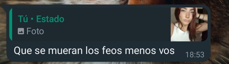 MilagrosBonanni's tweet photo. El que me gusta : https://t.co/hsj4eV0F5z