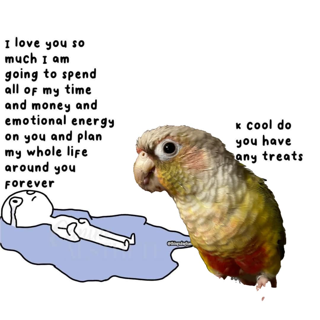 cockaztiel's tweet photo. ¯\_(ツ)_/¯ https://t.co/U6hCa5jvmd