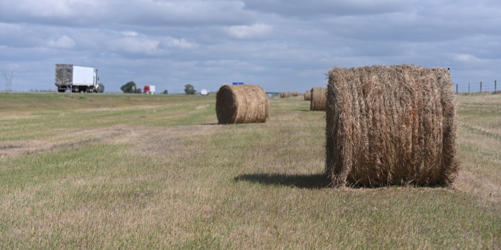 NorthDakotaDOT's tweet photo. What did the grass say to the hay? "Hey, you look like you're having a bale of a time!" 

We're taking sealed bids for cutting, baling &amp; removing hay on designated sections along I-94 &amp; I-29 for the 2023 haying season. Details at https://t.co/IGZxYdZk1v #NDRoads #Rollup #Baleout https://t.co/Oywv16BEuO
