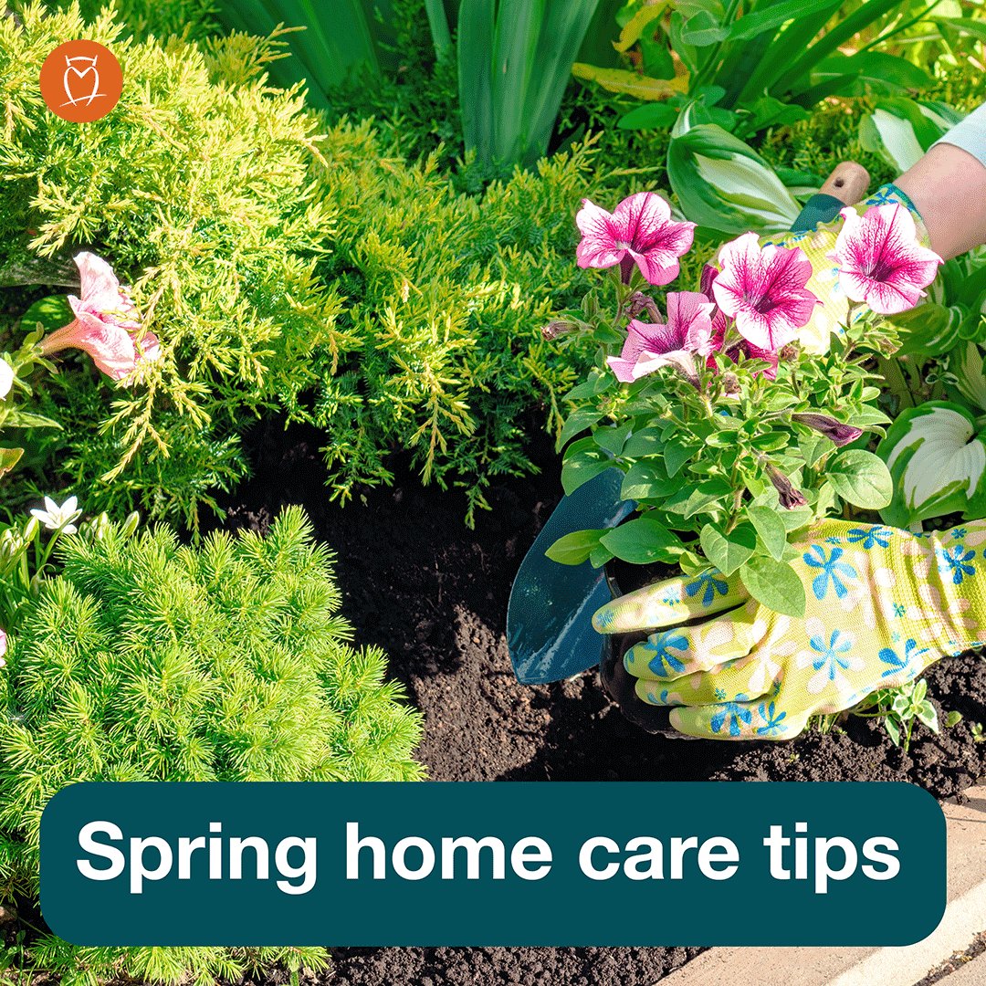 HoraceMann's tweet photo. Weโre happy to see winter go โ but it may have left some damage to your home. Head outside with our checklist to do any damage control or preventative maintenance: https://t.co/y1HHU9Gd3l #springcleaning #springhometips #homeowner #hometips #homemaintenance https://t.co/YHS7lcK1Ff