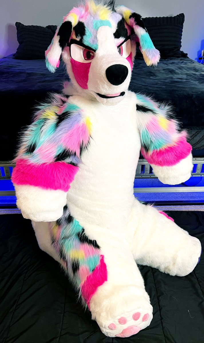 TheSwitchStitch's tweet photo. There about to be a new pup on the prowl! Keep an eye on @PineReese to see him in the wild!

✂️ @TheSwitchStitch 
📷 @Krunch_Kat https://t.co/PgaTi9074I