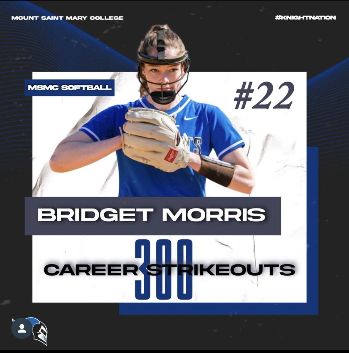 MSMC Softball tweet media