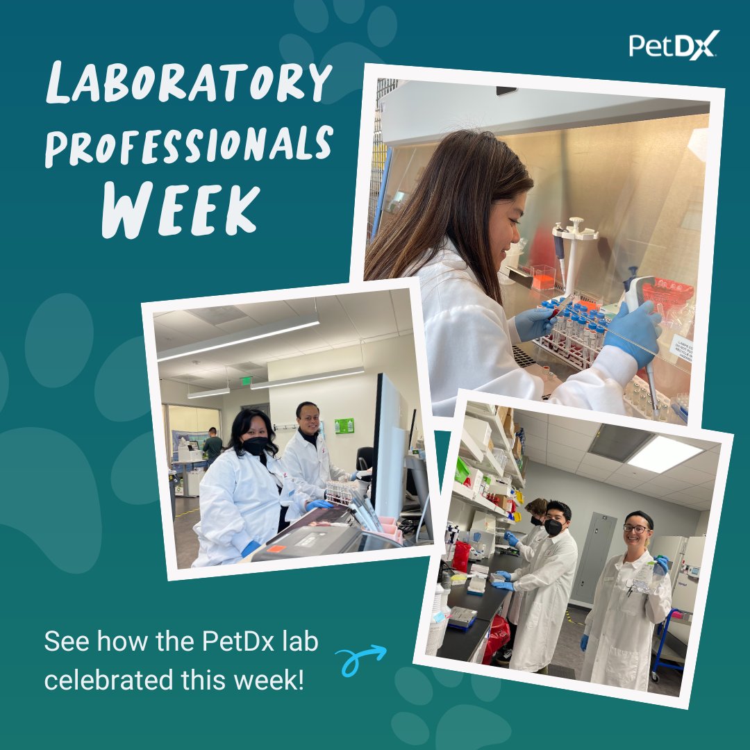 PetDxInc's tweet image. As Lab Week comes to a close, we want to recognize our lab heroes who work tirelessly behind the scenes at the PetDx central lab in San Diego. Thank you for all that you do! Here is a recap of how they celebrated #ascplabweek23 🔬👩‍🔬🧑‍🔬
