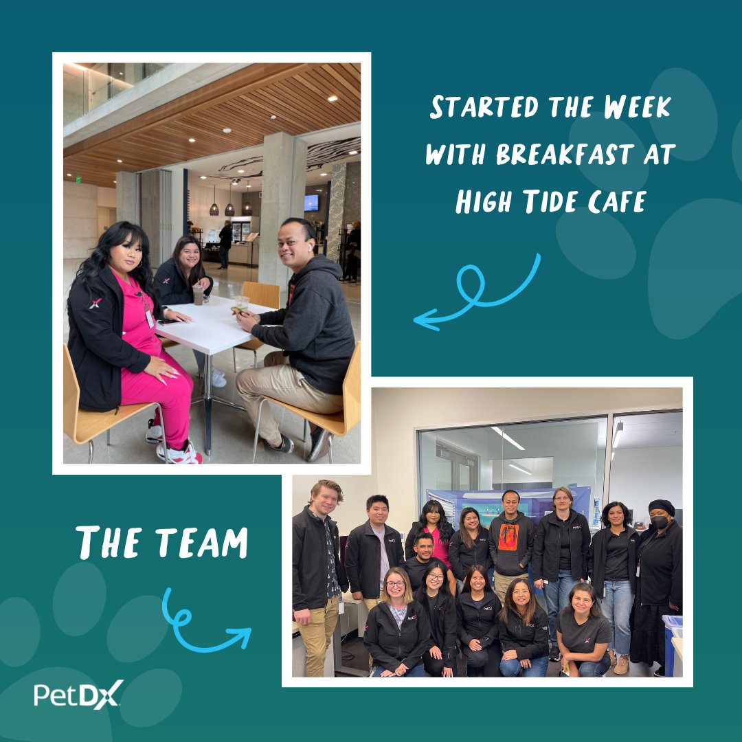 PetDxInc's tweet image. As Lab Week comes to a close, we want to recognize our lab heroes who work tirelessly behind the scenes at the PetDx central lab in San Diego. Thank you for all that you do! Here is a recap of how they celebrated #ascplabweek23 🔬👩‍🔬🧑‍🔬