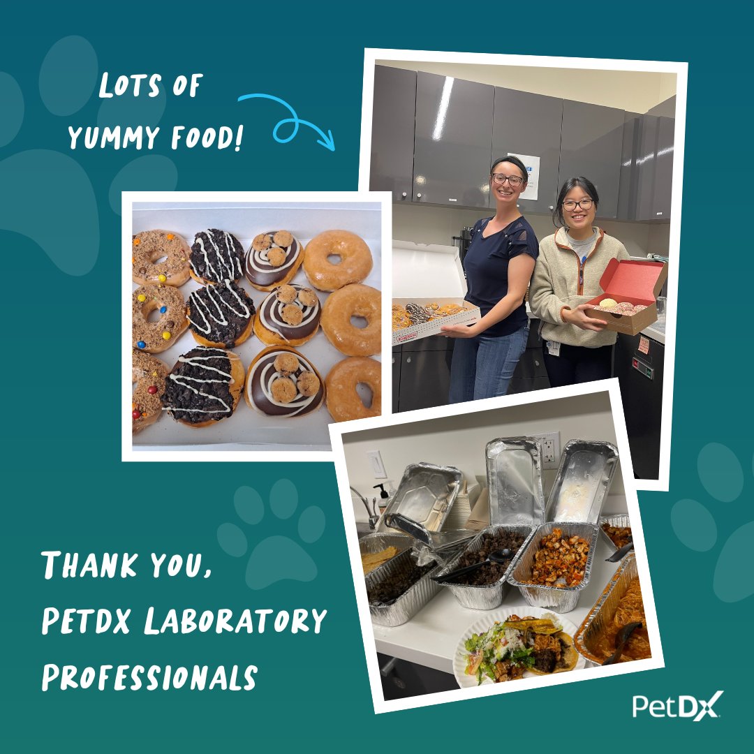 PetDxInc's tweet image. As Lab Week comes to a close, we want to recognize our lab heroes who work tirelessly behind the scenes at the PetDx central lab in San Diego. Thank you for all that you do! Here is a recap of how they celebrated #ascplabweek23 🔬👩‍🔬🧑‍🔬