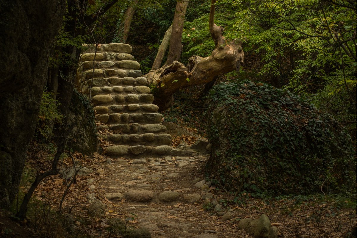 Ripleys's tweet image. Staircases in #forests worldwide have appeared without explanation, leaving many unsettled. Reddit users have linked them to #unexplainable phenomena.