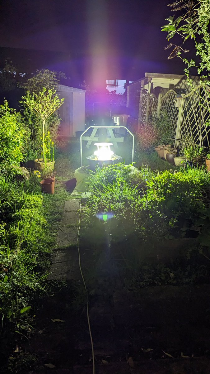 BirdBeards's tweet photo. It certainly is bright. #mothage #moffs #mothing https://t.co/Is5TBWYqe2