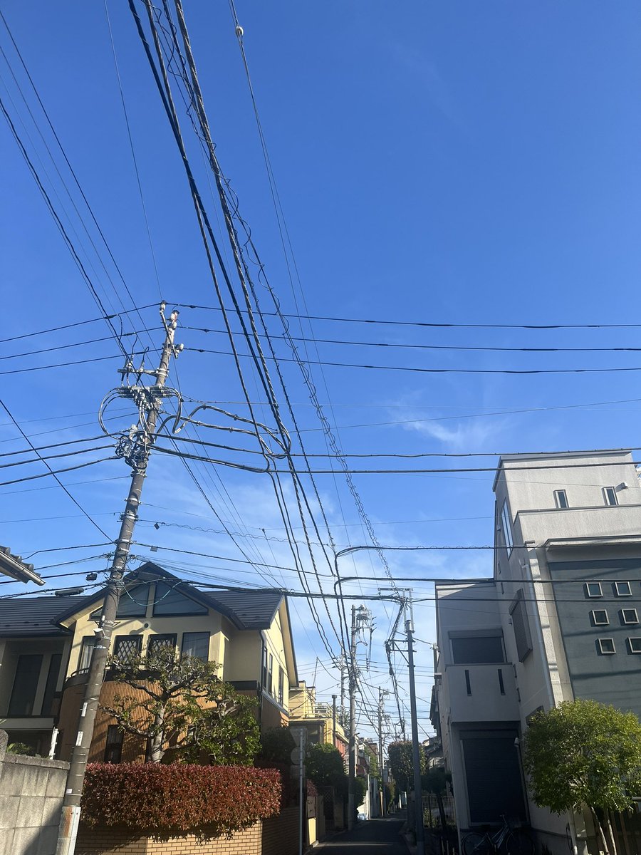 mmmdk_m's tweet image. 天気のよさ530点！！！
変な時間に起きて寝られへんから朝練🎺