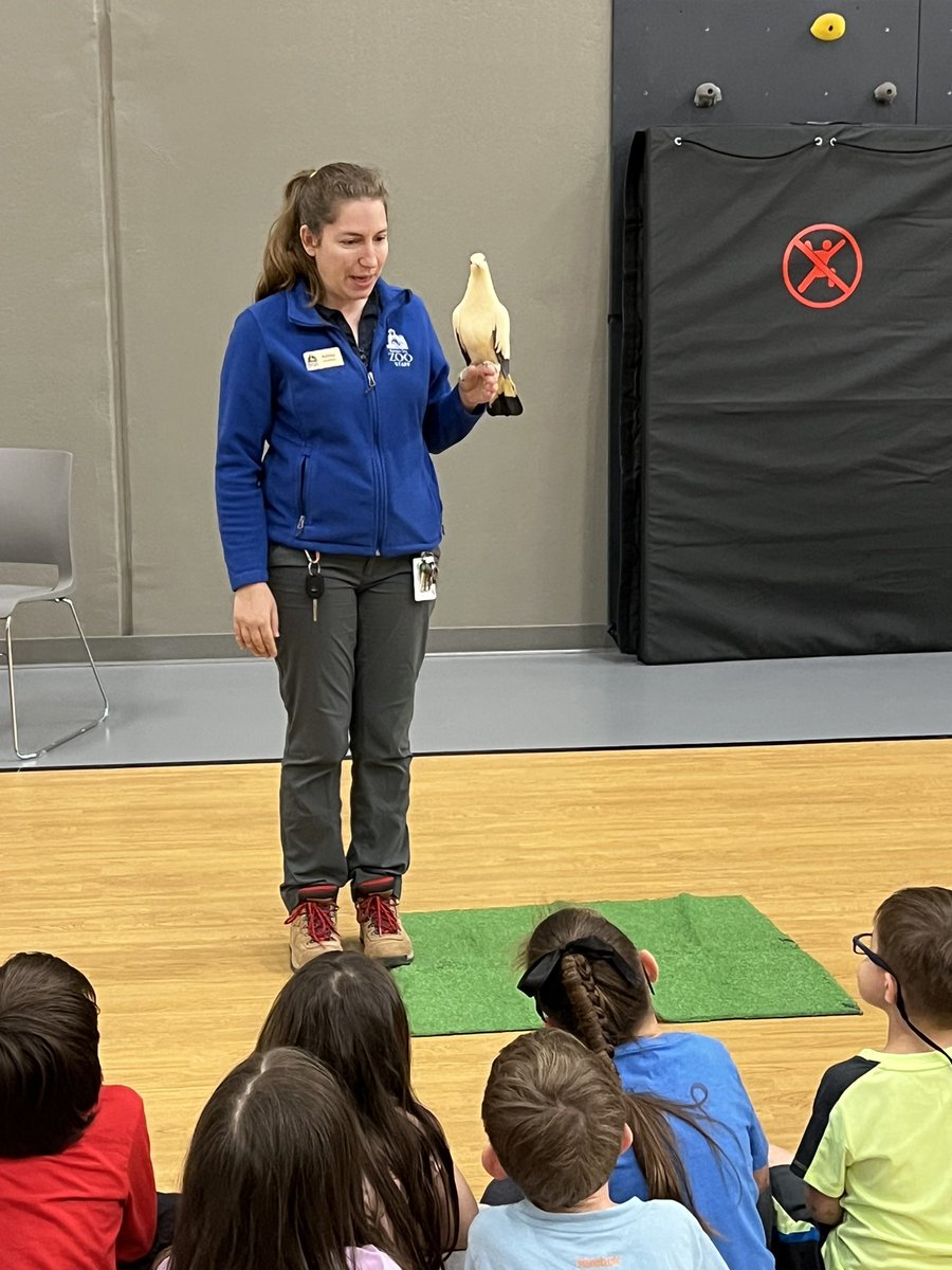MrsJoyce_PreK's tweet photo. We had a great visit from the @KansasCityZoo Zoo Mobile today! They do such a great job engaging our youngest learners. Lots of smiles &amp; laughs were had today ☀️ https://t.co/VvRvC3eRa6
