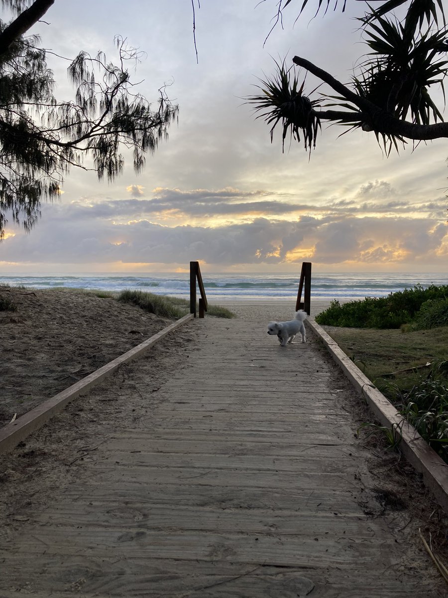 Corrine Barraclough tweet media