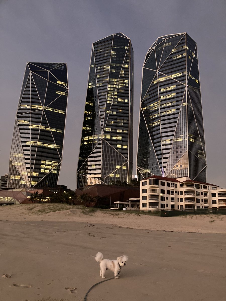 Corrine Barraclough tweet media