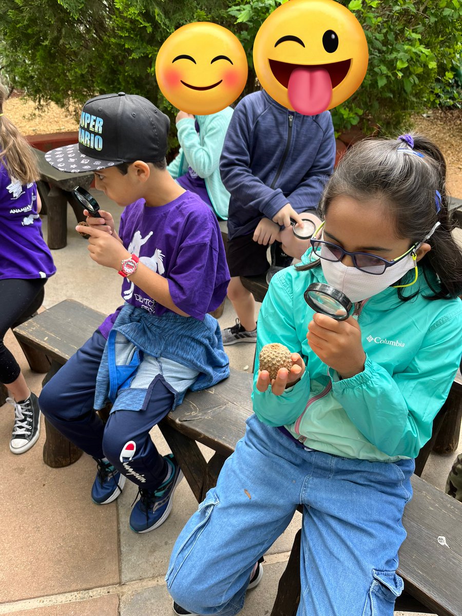 Lamar Day tweet media