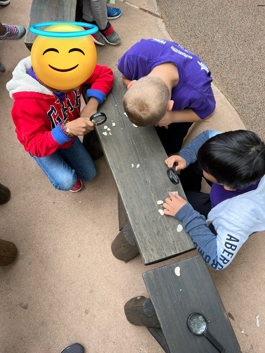 Lamar Day tweet media