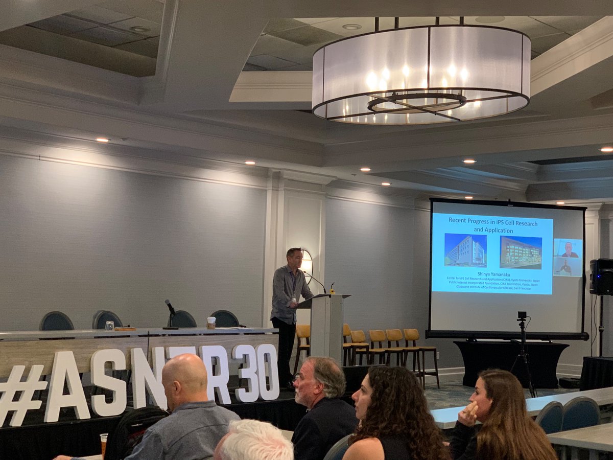 Lana Zholudeva tweet media