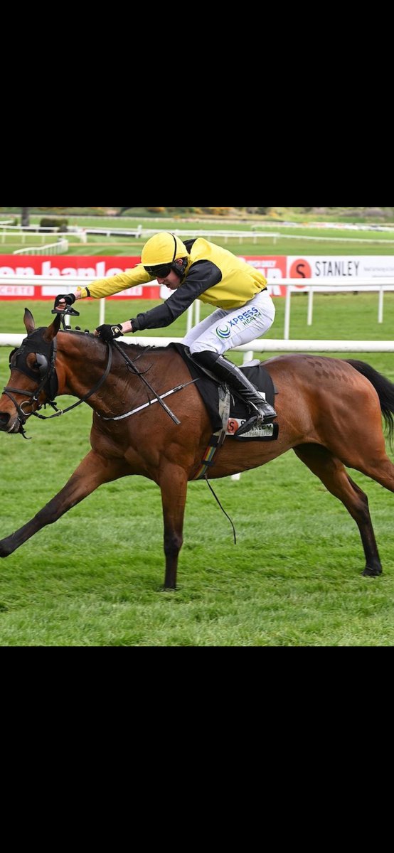 Congratulations ! to our sponsored jockey Pat Taaffe  on his win today <a href="/punchestownrace/">Punchestown</a> on board Fr. Gilligansvoyage for trainer John Carr. #winner #kildare #punchestown #naas