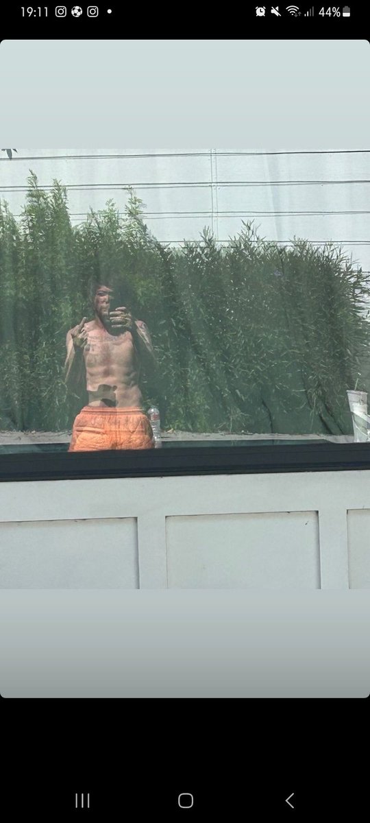 tantas guarangadas tengo para decir