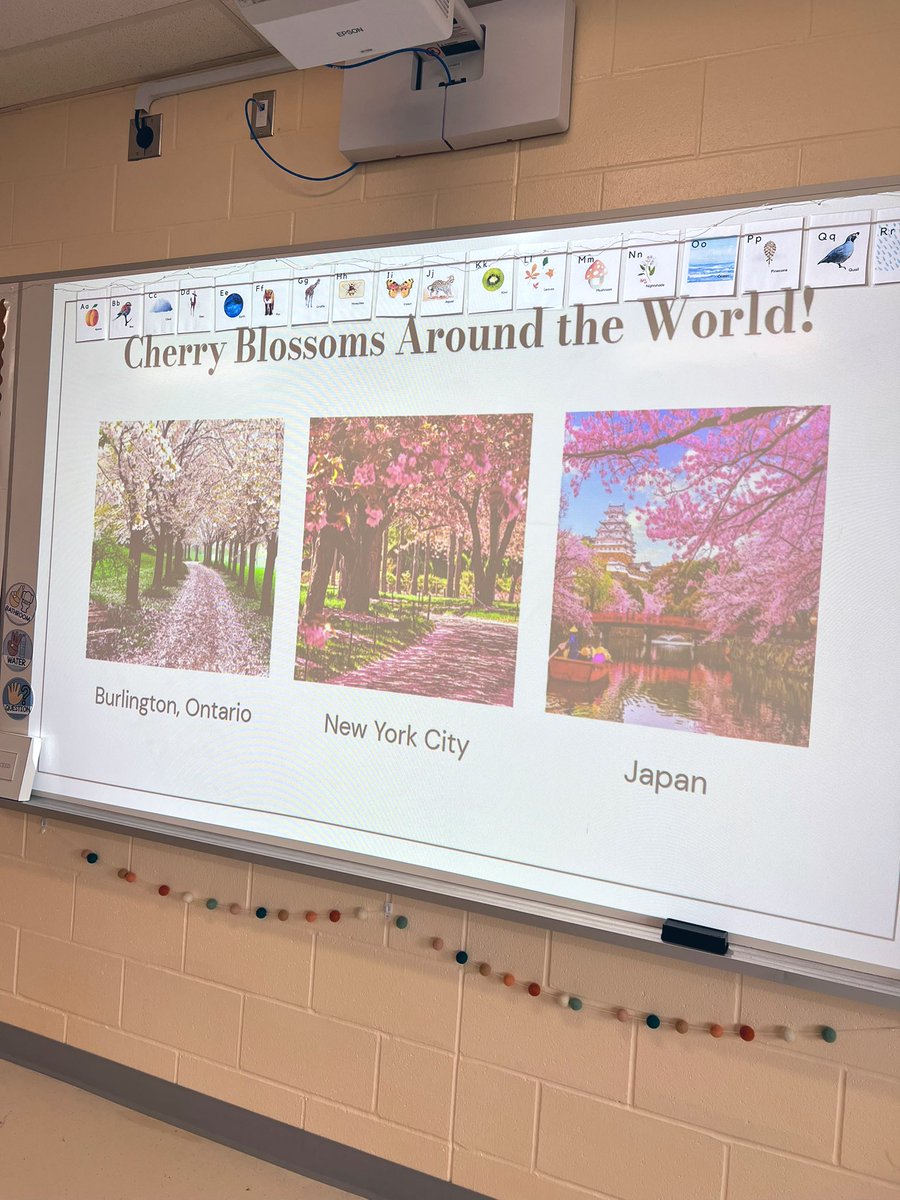 Ms. Niezen tweet media